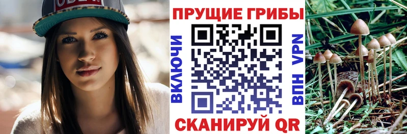 Галлюциногенные грибы мицелий  где можно купить   Сасово 